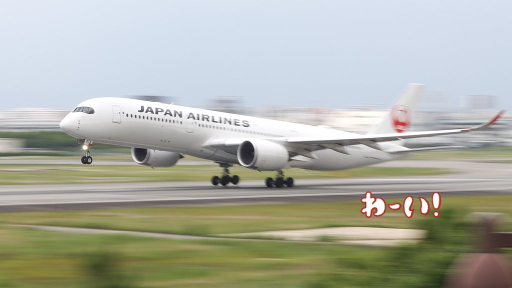 ITM✈A350
#伊丹スカイパーク