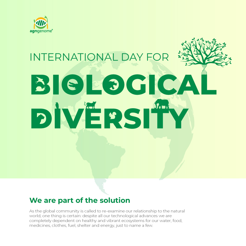 Belief creates Biology. Diversity is what Nature is all about. #ForNature #savenature  #BiodiversityDay #biodiversity #nature #natureconservation  #wildlifeconservation  #climatechange #ecosystems #ecology #Genomics #scientificresearch #biology #ngs #AgriGenome