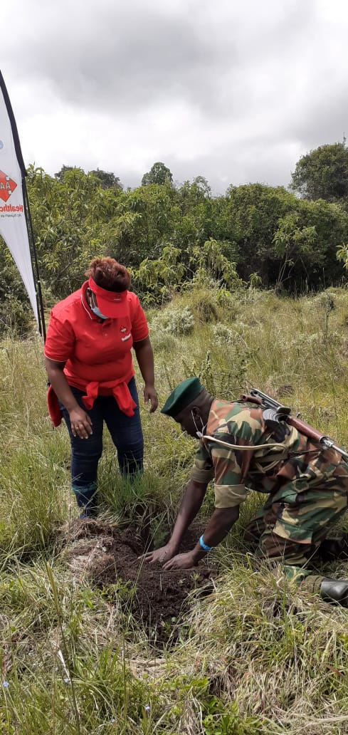 AAR_Healthcare's tweet photo. Through our CSR arm 'Trees for Health', we joined @KenGen_Foundatn
in Eburru Forest in the adopt-a-forest initiative that promotes forest conservation through enrichment planting. #Trees4Health https://t.co/ZkuT8QFsib