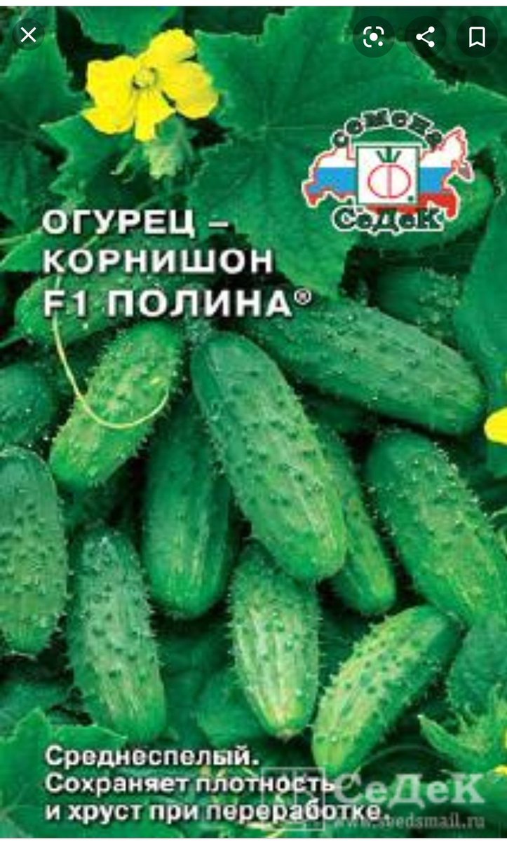 СЕДЕК огурец Весна корнишон f1