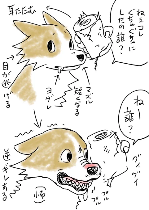 ねーこれ壊したのだれかなあ?
って聞くとバレバレだった
尋問すると逆ギレするw
#コーギーのいる暮らし 