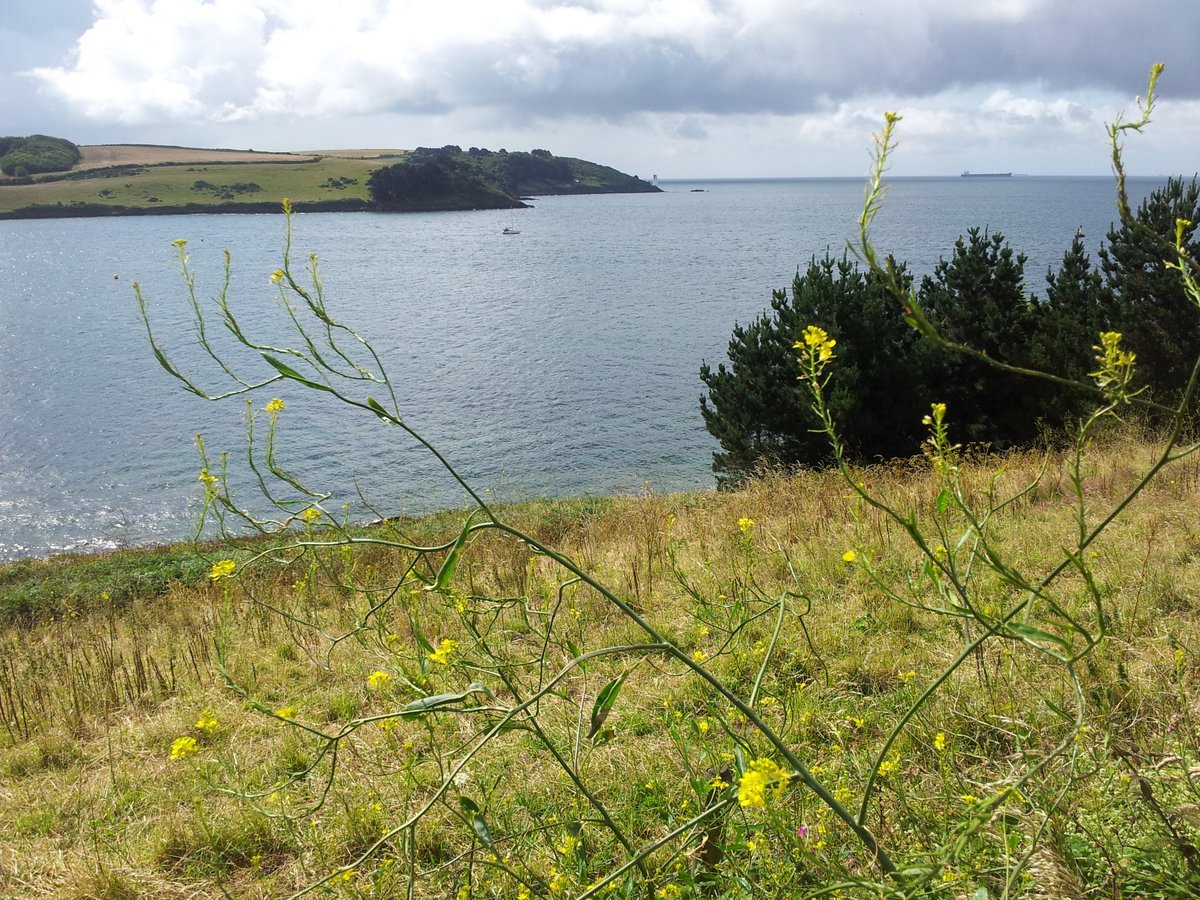 manonabeach's tweet photo. What the #beach means at #Percuil #StMawes in #Cornwall, with @PortscathoHols - https://t.co/ABhhFN3yPs https://t.co/5iyJlp5Ez6