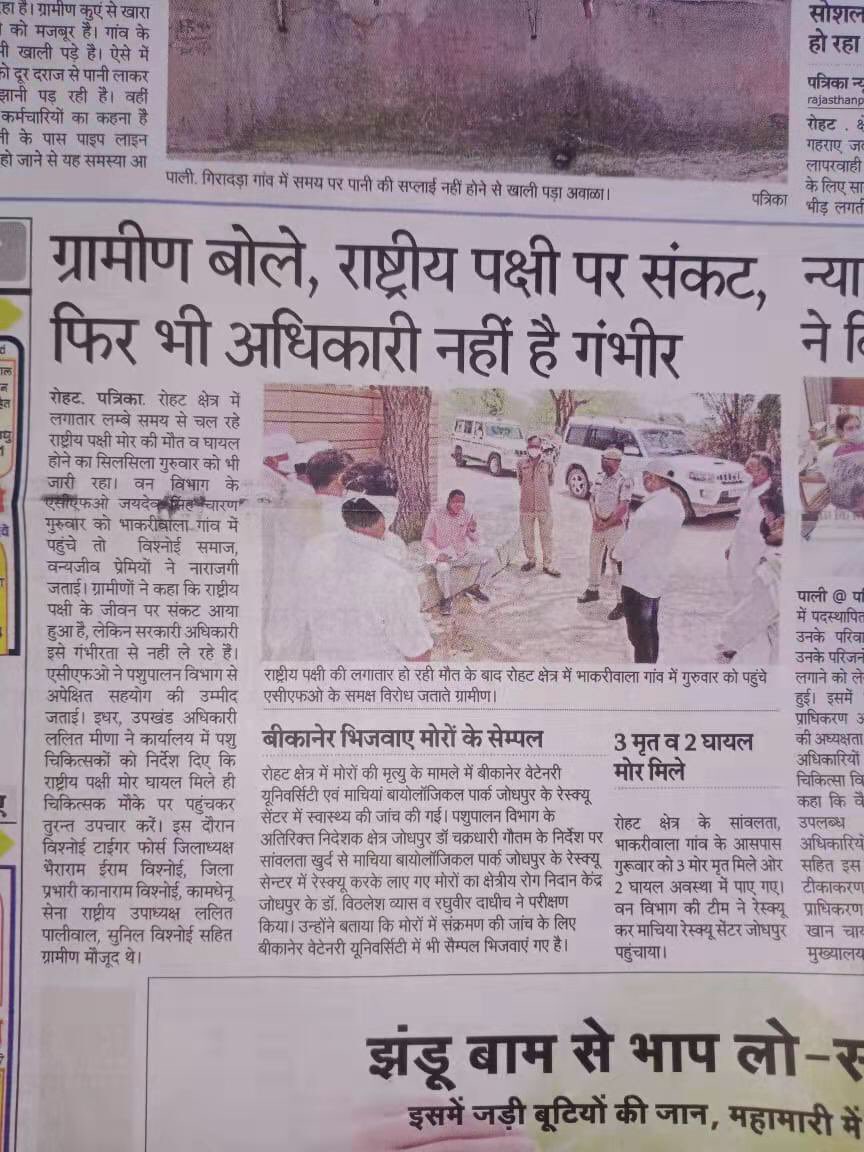 devsarathore10's tweet photo. Government please save our national bird from this big disease🙏🏻🙏🏻@AHDRajasthan @Dept_of_AHD @BBCWorld @ndtv @aajtak @ZeeNews @ANI @min @Republic_Bharat @PMOIndia @RajCMO @girirajsinghbjp @KatariaLalchand #savepeacocks #savenationalbird #peacocks #saveinjuredpeacock https://t.co/kHU38ncWqM
