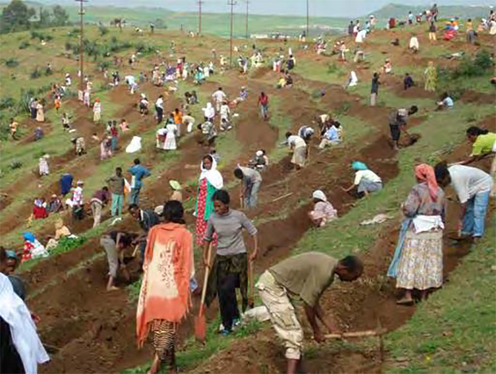 Yemane G. Meskel 🇪🇷 tweet media