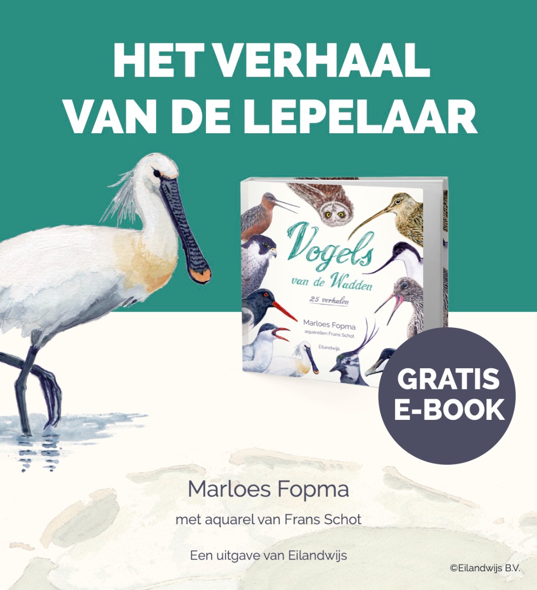 Aangespoeld, verhalen van Eilandmeisje, mei II, 2021 - mailchi.mp/5de7826e3a97/a… Lees hier het eerste hoofdstuk van mijn nieuwe boek Vogels van de Wadden dat begin juni verschijnt! #wadden #waddenvogels #vogels #eilandmeisje #terschelling #verhalen