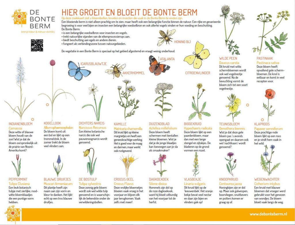 “Vandaag is het de Internationale Dag van de Biodiversiteit. En vieren wij de schoonheid en het vernuft dat de natuur ons aanreikt.  Ik ben trots als wij samen iedere dag een stapje verder komen", aldus Lonneke Klein
buff.ly/3wpbikU