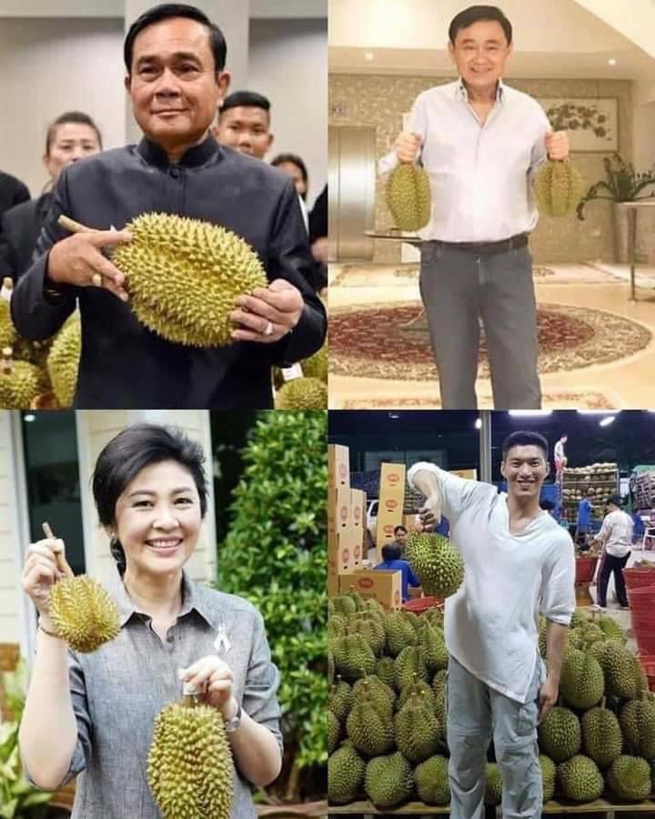 ทุเรียนสามารถแยกแยะคนฉลาดกับคนโง่ได้ครับ