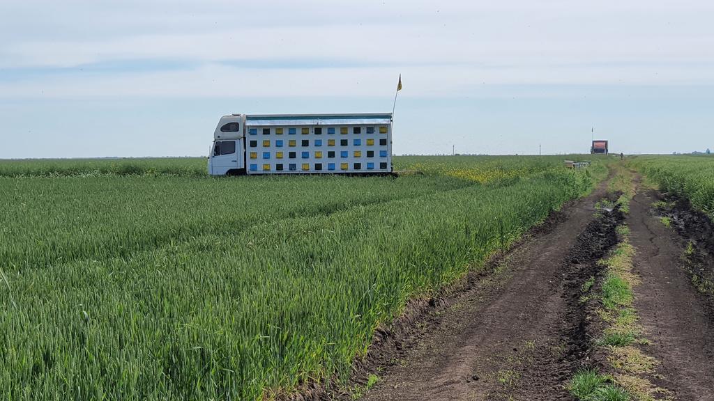 Apiculteurs et agriculteurs  complémentaires en Roumanie.....
