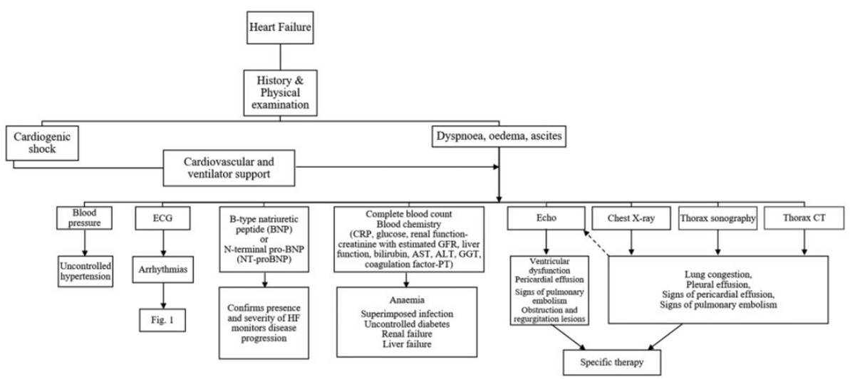 SeguraCardio's tweet image. 📌#EmergencyDepartment management of 👥 w/ adult congenital heart disease: A consensus📝 from @escardio WG on CHD, #EUSEM,  #EACTS &amp;amp; #ACVC
#CardioEd #EchoFirst @esc