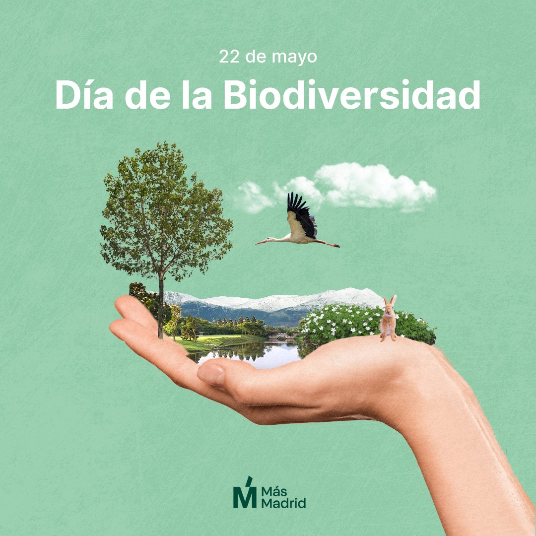 leganemos's tweet photo. La raza humana no debería convertirse en una pandemia que amenace nuestra Biodiversidad. Necesitamos comprometernos con un modelo sostenible de vida que garantice el futuro #ForNature #PorLaNaturaleza #Diadelabiodiversidad https://t.co/jisEaLHQ79