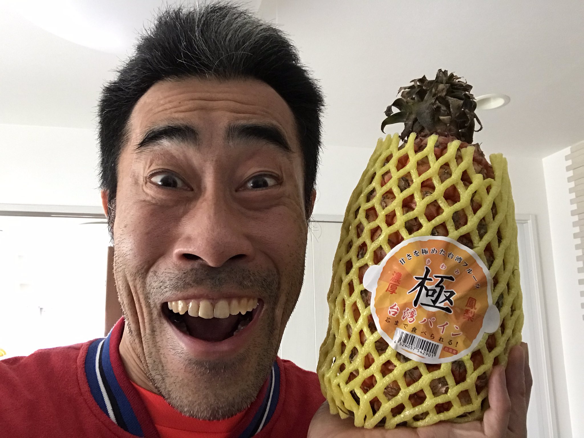 なすび 台湾産のパイナップル ずっと気になっていながらも 中々入手する機会に恵まれなかったんですが 今回漸く手に入れる事が出来ました O 流石に蔡英文総統が目にされるとは思いませんが 台湾応援の一助になればと 因みに鳳梨で パイナップルって