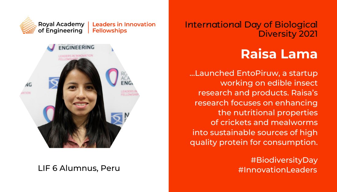 Farming edible insects is more environmentally friendly than conventional livestock production. <a href="/EntoPiruw/">Ento Piruw</a> is using applied biotechnology to research and create sustainable sources of high quality insect based protein: lif.raeng.org.uk/innovation-pro… #BiodiversityDay #InnovationLeaders