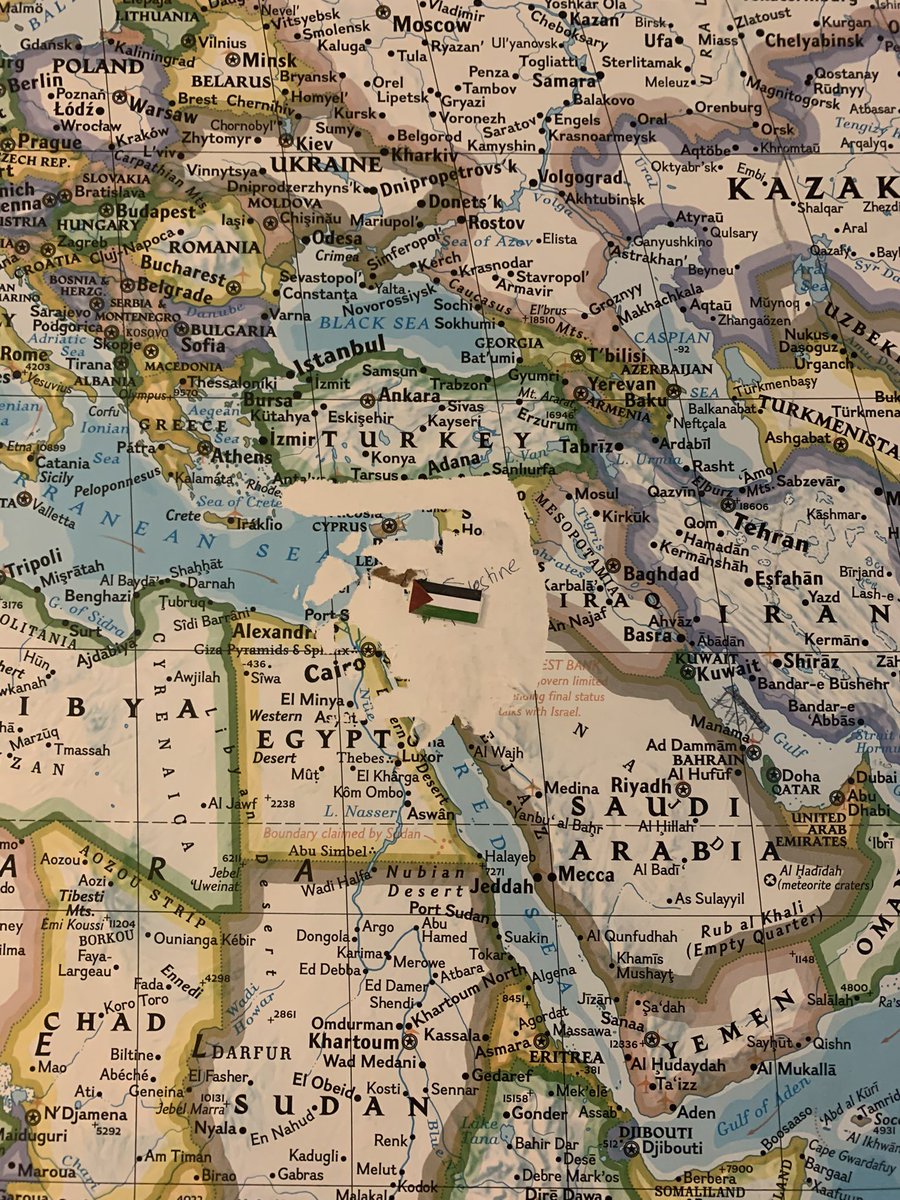 supportsystem0's tweet image. #FreePalestine