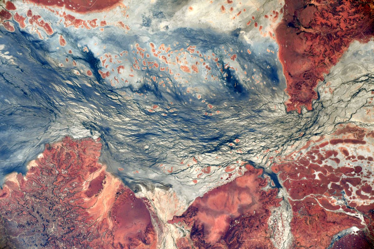 Thomas Pesquet tweet media