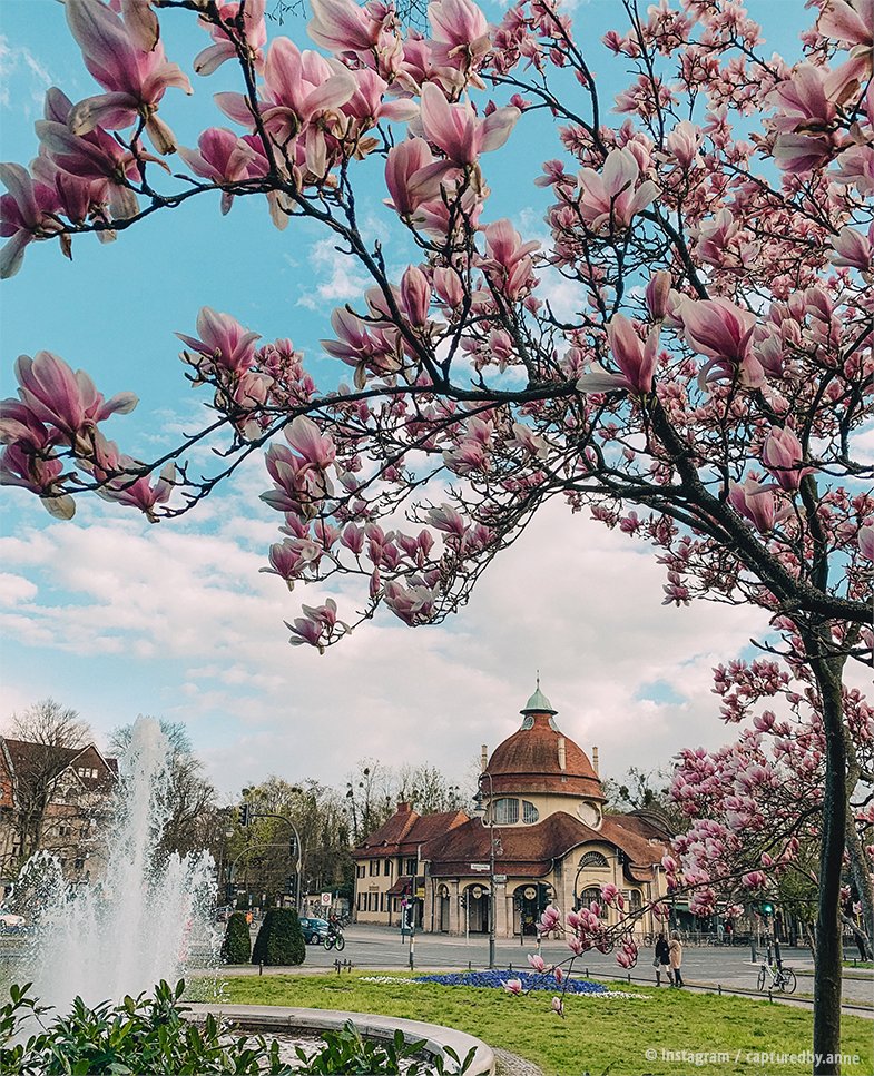 visitBerlin tweet media