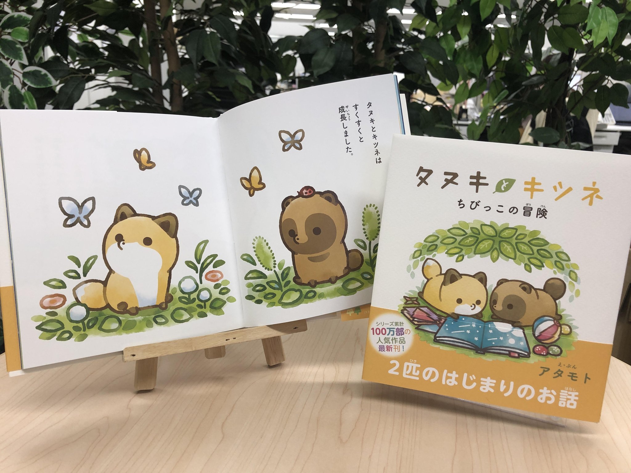 公式・コミックス10巻発売中!】タヌキとキツネ&たるしば on X 公式・コミックス10巻発売中!】タヌキとキツネ&たるしば on X