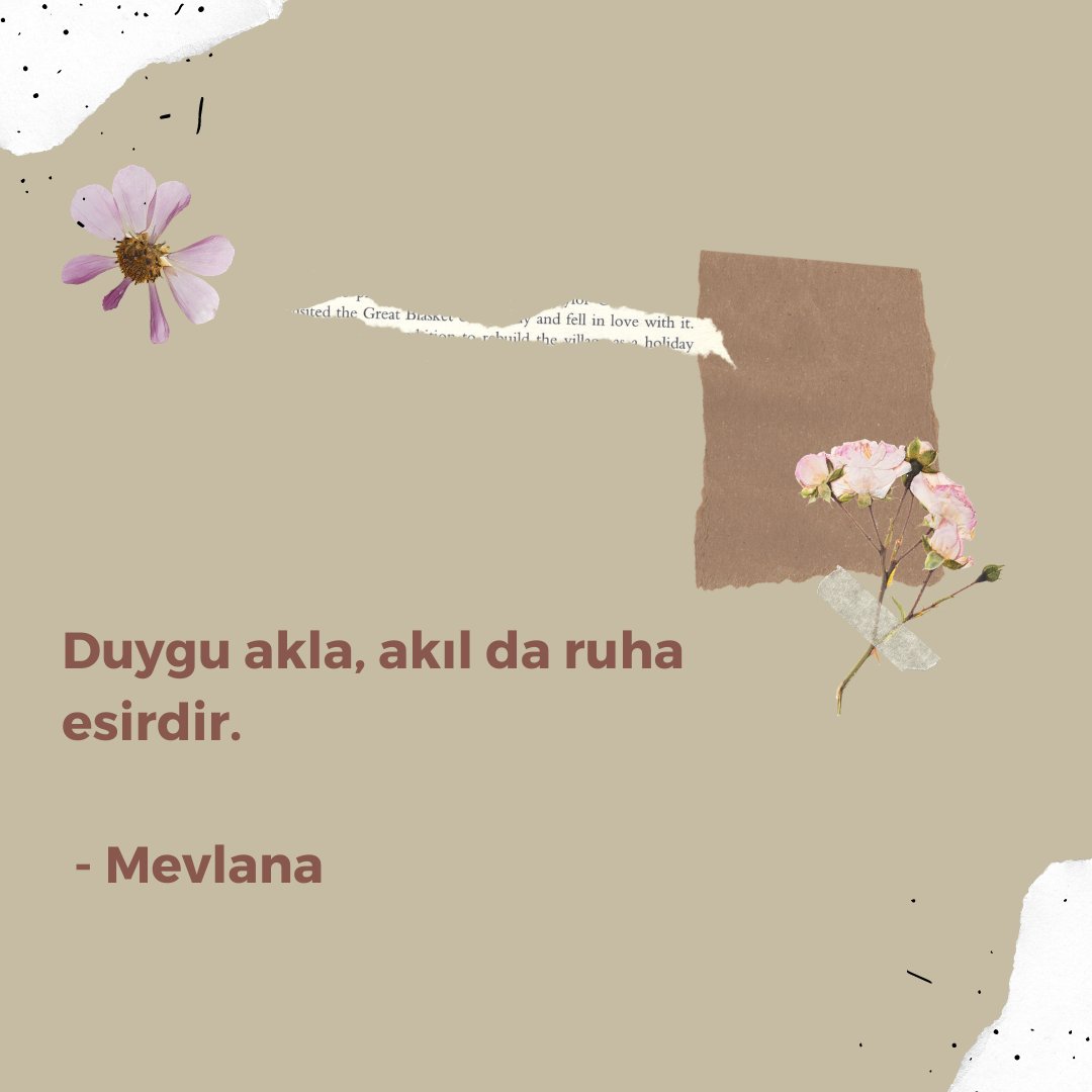 hipokampusbilim's tweet photo. 🖇️ Duygu akla, akıl da ruha esirdir.

-Mevlana

#özlüsöz #Mevlana #duygu #akıl #ruh https://t.co/rCvnCKkb9H