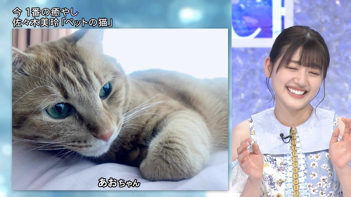みーぱんの癒しは猫 #MUSICFAIR #日向坂46 #佐々木美玲