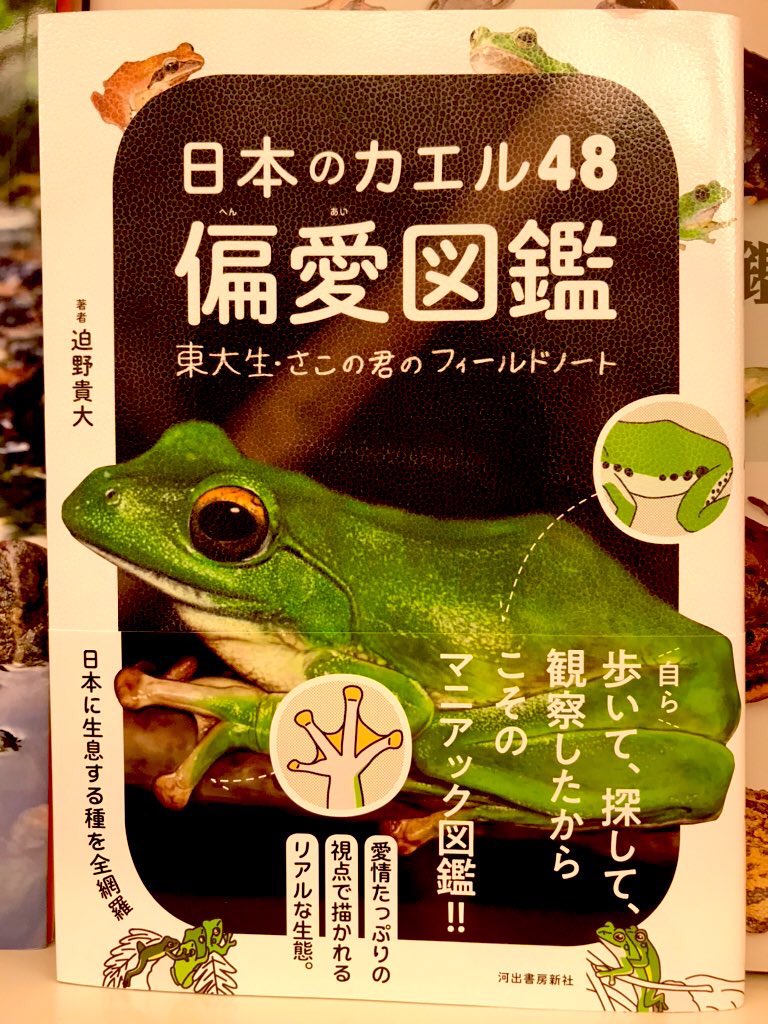ট ইট র 丸善丸の内本店 3f理工書 梅雨の散歩のお供に 日本のカエル48偏愛図鑑 Hynobius36 はいかがでしょう 迫野先生自ら日本中で観察した カエル 達への愛がこもったイラスト満載で家族で楽しめます 出版後新種が報告されたそうで彼らの事も気に