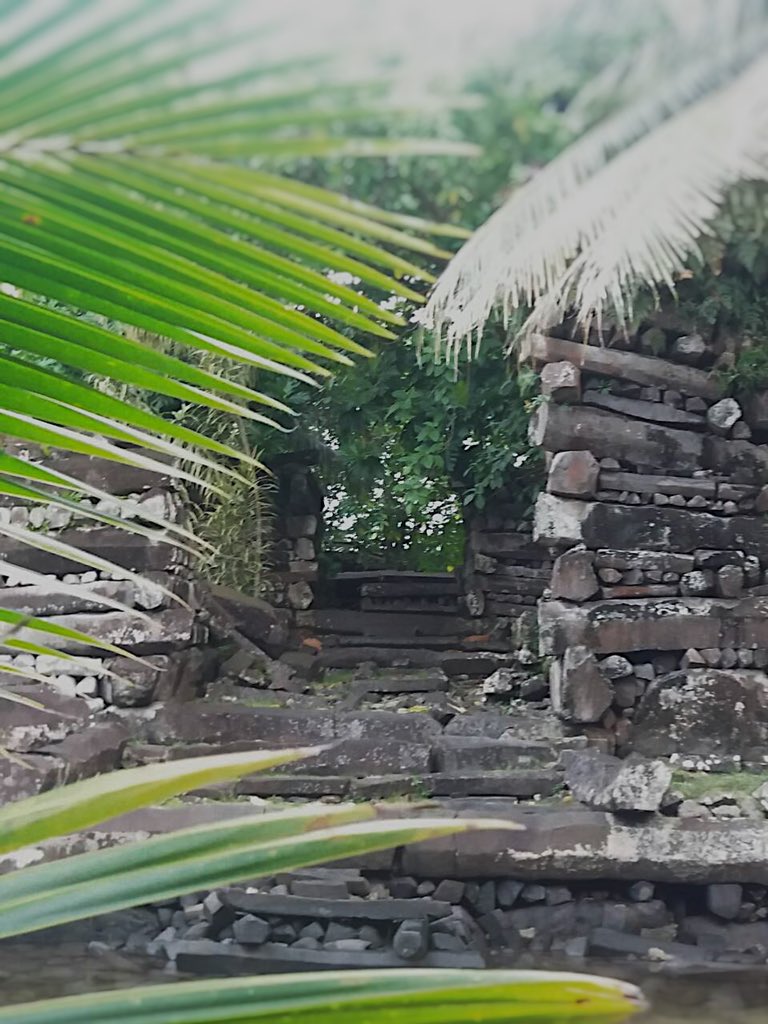 surfingoctopus's tweet image. Reminiscing on this visit. The ancient coral reef city of Nan Madol. #Pohnpei #Micronesia