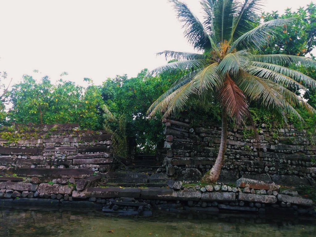 surfingoctopus's tweet image. Reminiscing on this visit. The ancient coral reef city of Nan Madol. #Pohnpei #Micronesia