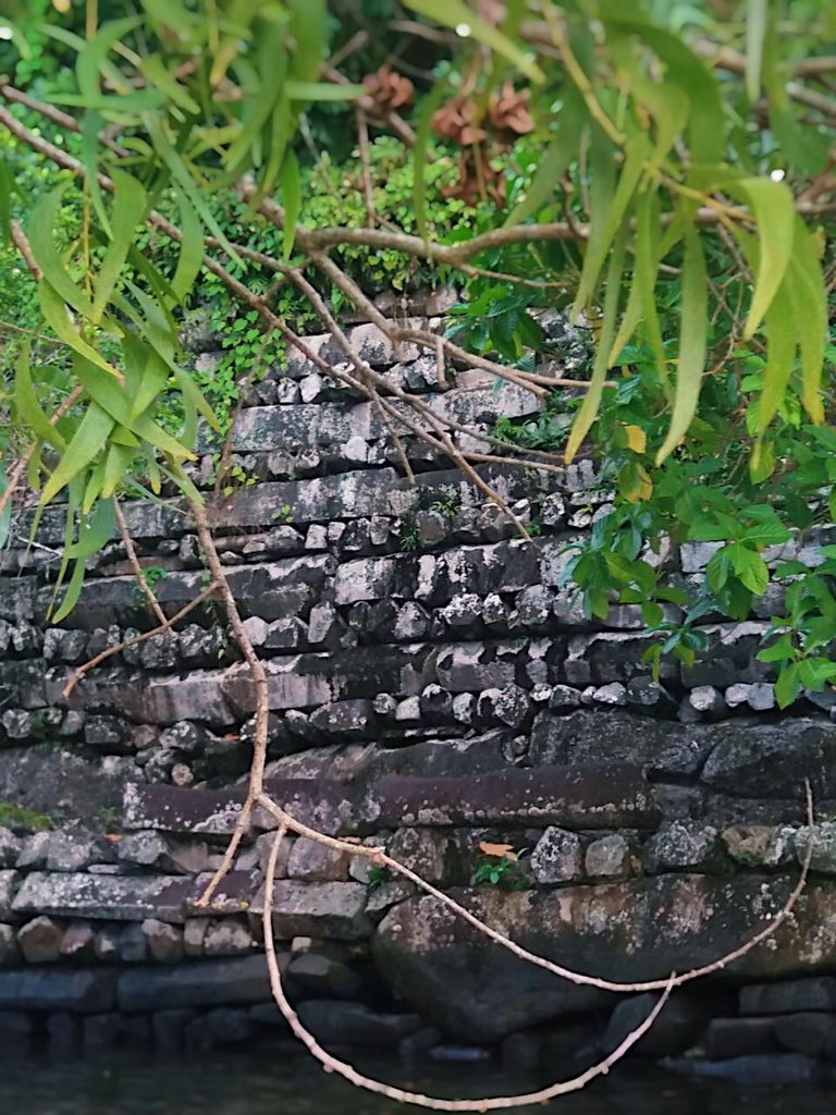 surfingoctopus's tweet image. Reminiscing on this visit. The ancient coral reef city of Nan Madol. #Pohnpei #Micronesia