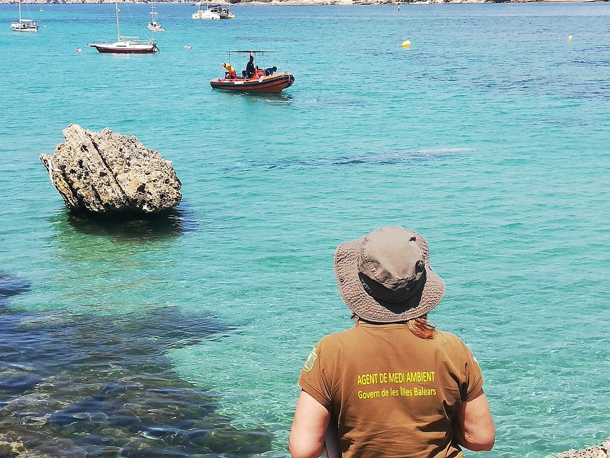 Conselleria de la Mar i del Cicle de l’Aigua tweet media