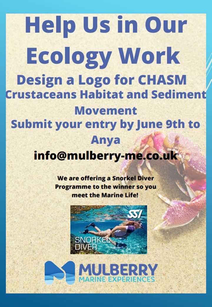 Poster competition to design a logo for CHASM 
Winning design has an amazing opportunity to join a snorkel diver program with Mulberry Marine experiences. 
Students can send entries to the email on the poster, or hand in to Miss Casserly in room 11. Deadline is the 9th of June.