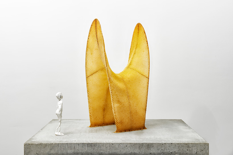 designboom tweet media