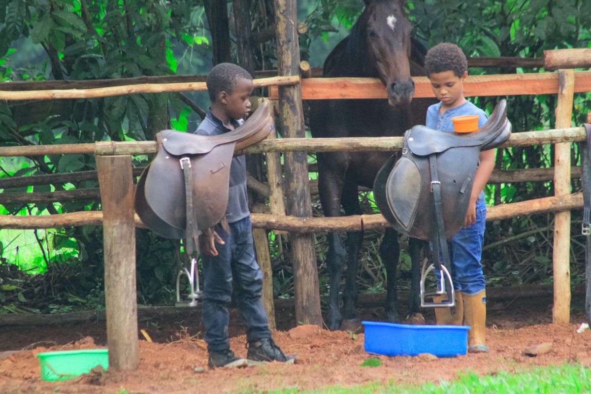 staybushbaby's tweet photo. It helps establish routines and structure, and the act of caring and nurturing something else can help build empathy.

#horseridingatbushbabylodge 

#horseridinginmukono 

#bushbabylodgeanimals 

#weloveanimals

#loversofnature https://t.co/Rtf428CPF1