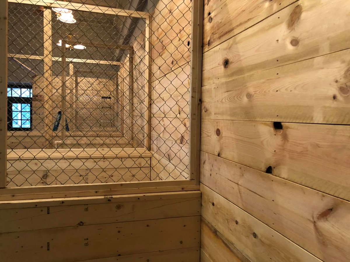 AxeHoleBeckley's tweet image. And the excitement builds.  Literally!  
#AxeHoleBeckley