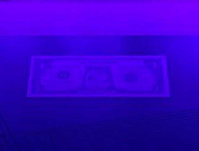 Mahdisa850's tweet photo. @elonmusk I think doge is going to 1 dollars https://t.co/xEgNQYUAQD