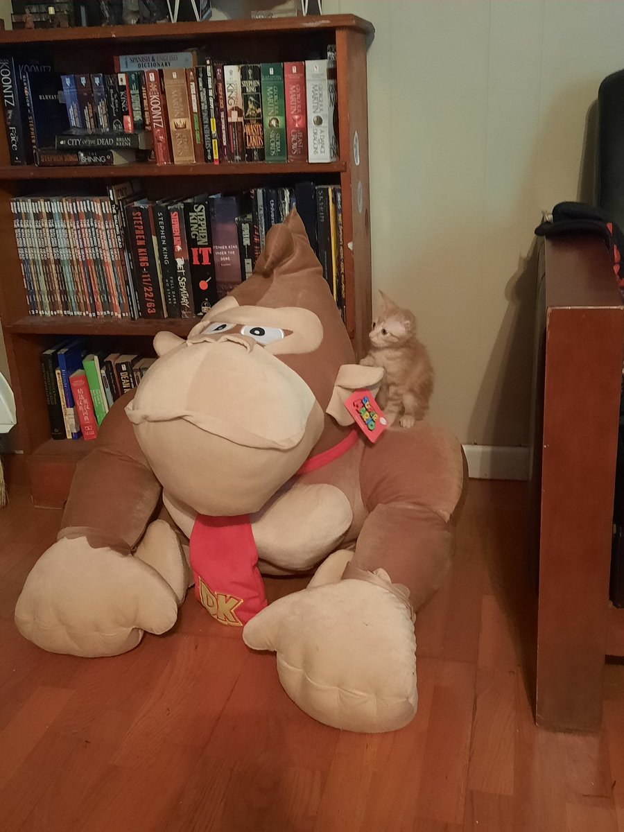 ChillGoober's tweet photo. Introducing Wally Augustus. https://t.co/k6UAOoDkqQ