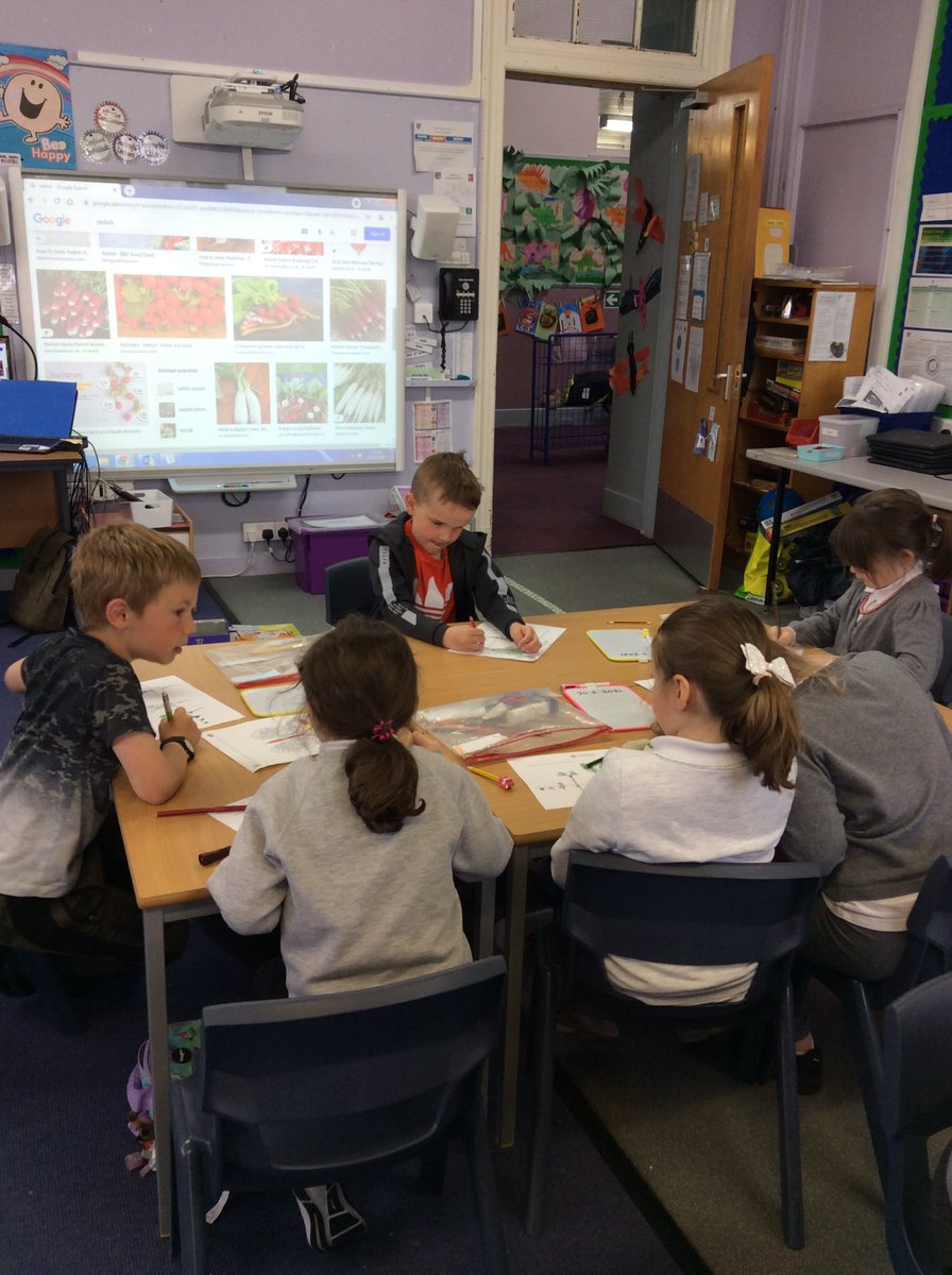 Room3woodside's tweet photo. Getting ready to plant our radish and other seeds after watching a video about planting. We explored the compost discs and coloured our radishes with the correct colours.@woodsideeco @woodside_school @Room3woodside @RNCI1 https://t.co/ticjYkk07f