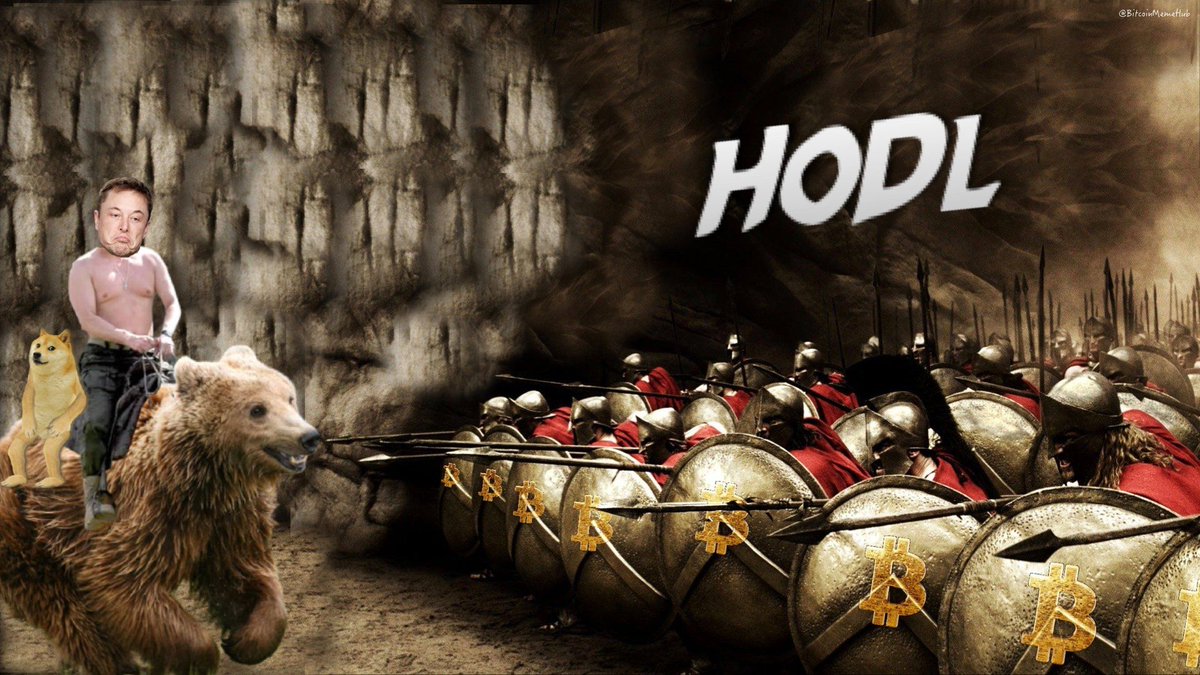 bitop_exchange's tweet photo. What are your favorite #Bitcoin Memes?
I love this one 😂
#HODL #BTFD #BITCOIN #BTC #cryptomeme #crptocurrency #cryptotrade #Crypto #MEMES #ElonMusk #Elon #24MEX #24MEXPRO https://t.co/uW68mwXdA8