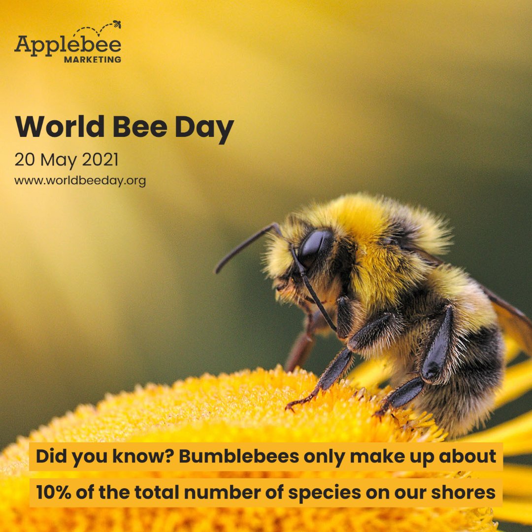 Applebee Marketing Ltd tweet media