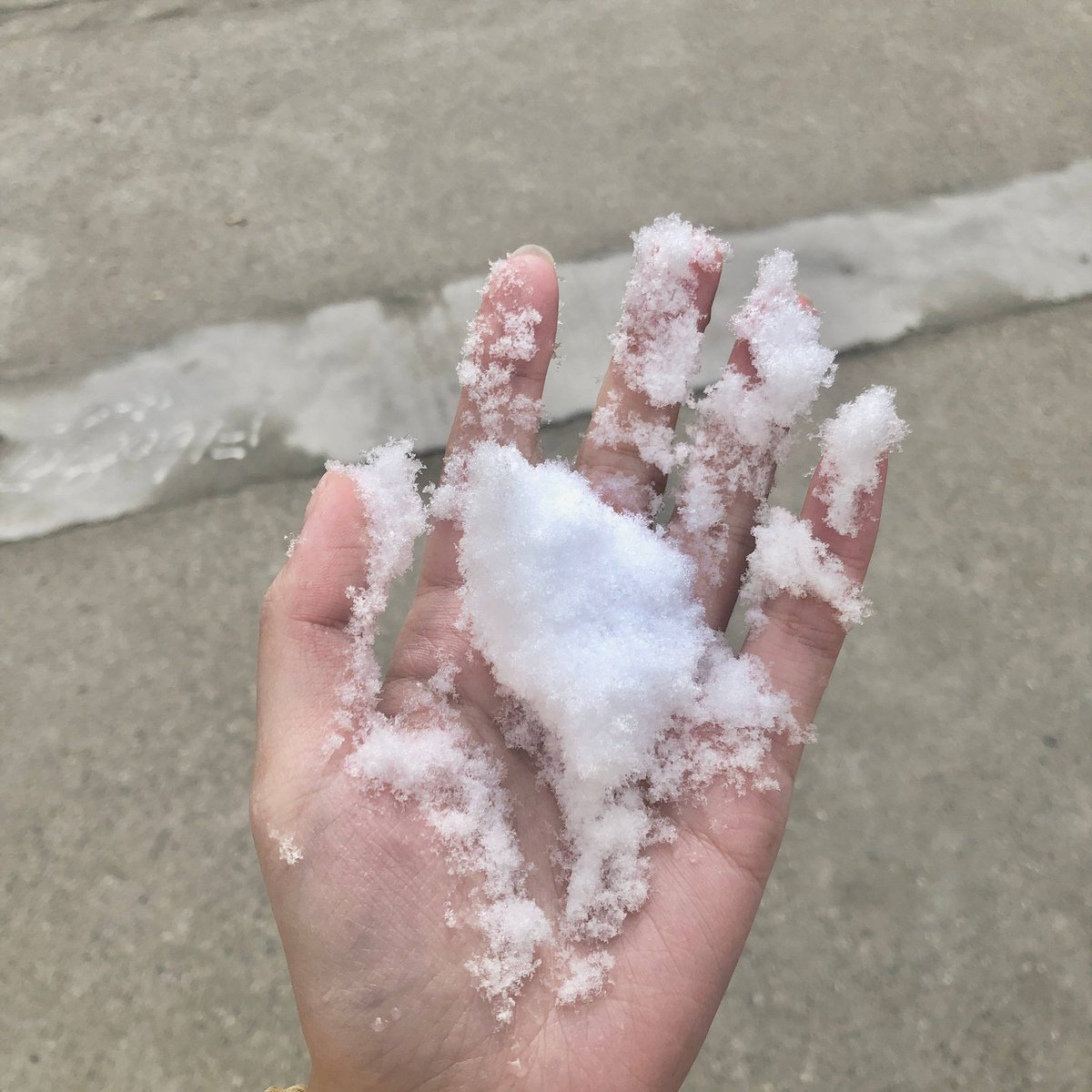 daydayarchive's tweet photo. 2020年12月14日 dayday archive。

“First snow! Take a look, quickly!
The ground has melted, humbly ”

#管天天 #GuanTianTian #dayday #ex_AKB48TeamSH #AKB48TeamSH https://t.co/lz3UTKVZqt