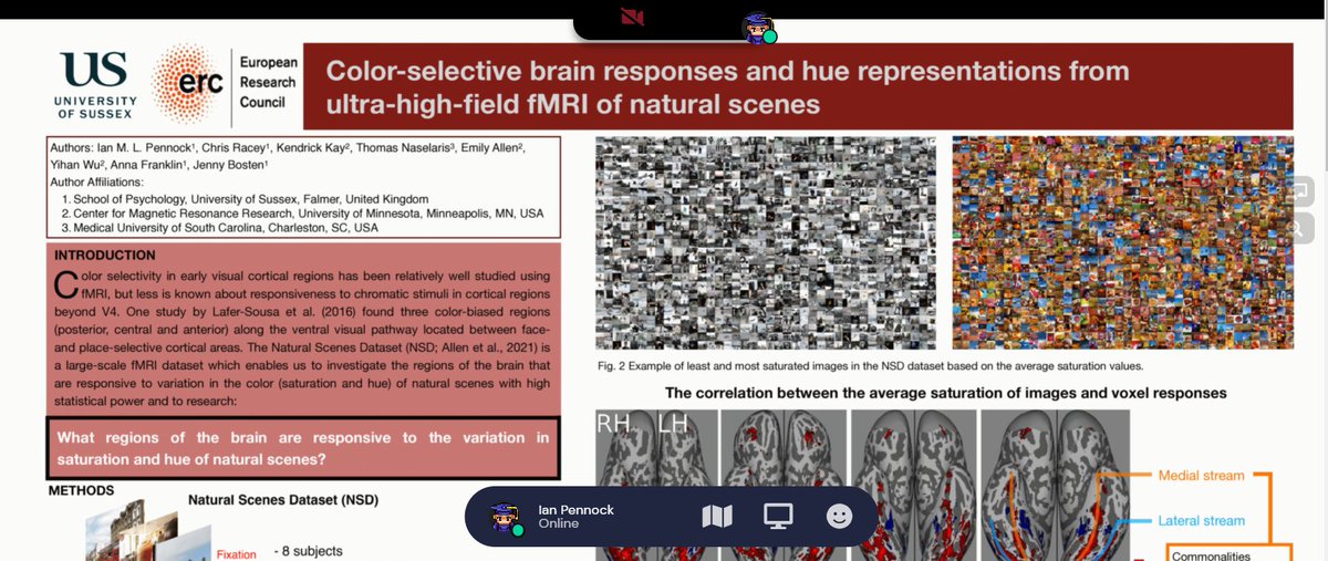Ian M. L. Pennock (@pennockian) on Twitter photo Looking forward to #VSS2021. Presenting a poster on May 25th (Manatee, G63, 14:00-16:00 CEST, 13:00-15:00 GMT, 08:00 -10:00 EDT).
Come by and we can discuss how color-selective brain regions diverge into two distinct streams in the ventral visual pathway! with <a href="/ColourSussex/">Sussex Colour Group</a> Looking forward to #VSS2021. Presenting a poster on May 25th (Manatee, G63, 14:00-16:00 CEST, 13:00-15:00 GMT, 08:00 -10:00 EDT).
Come by and we can discuss how color-selective brain regions diverge into two distinct streams in the ventral visual pathway! with <a href="/ColourSussex/">Sussex Colour Group</a>
