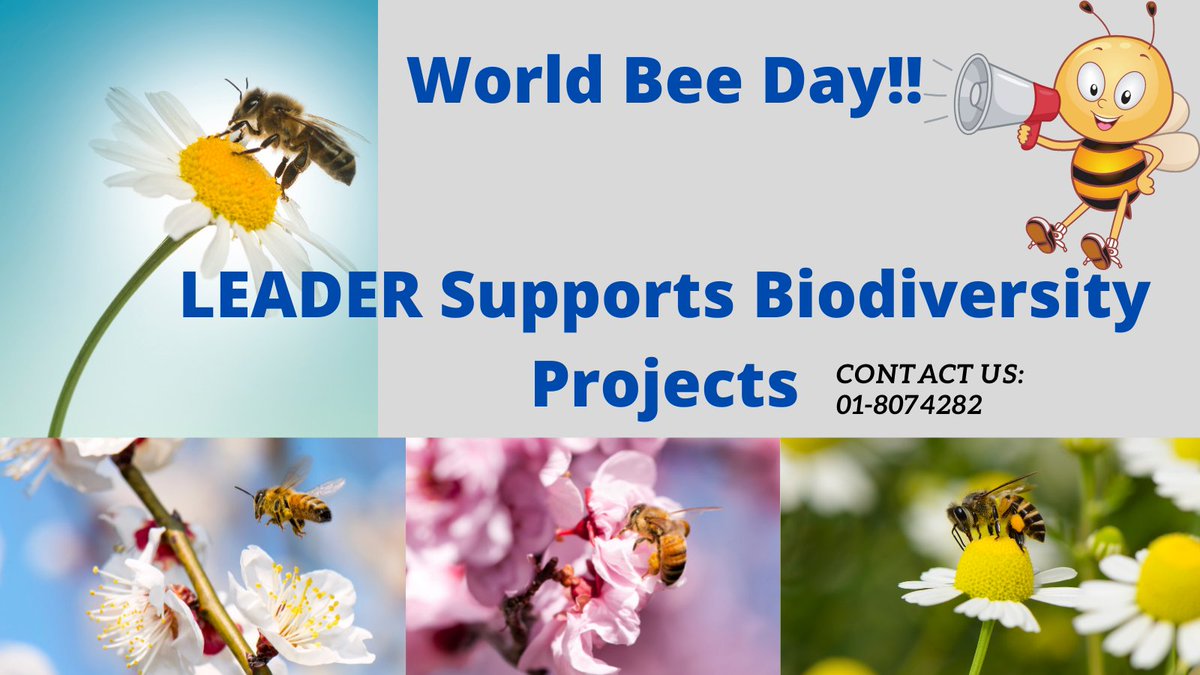 Happy #WorldBeeDay2021 #honey #bees #RuralDublin #LEADER #biodiversity @joefingalgreen @FingalLeader @FingalPPN @DeclanJRD @emerogorman @ruralnetwork @theILDN @DeptRCD