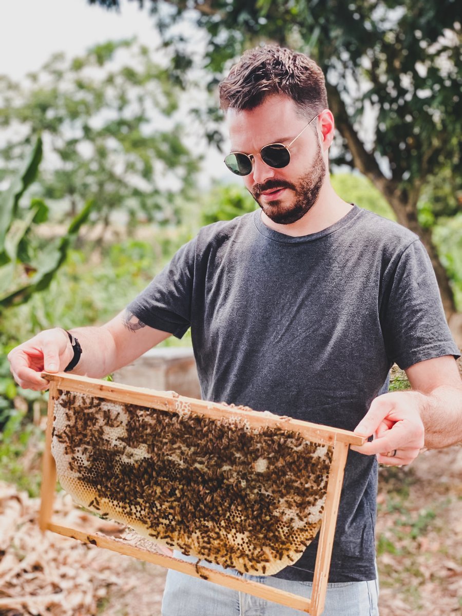MO_LANDMARKHK's tweet photo. Today is #WorldBeeDay. Follow our Pastry Chef Valentin Mille to a local bee farm and learn more about bees. 
At LMO, we use raw honey from Hong Kong Raw Honey, made by 100% Asian bees. A truly local product respecting its surrounding.
#Amberlicious #LandmarkMandarinOriental https://t.co/HvrhwIwtDR