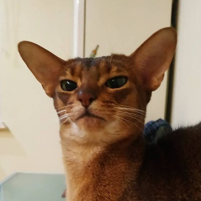 #НоваяАватарка