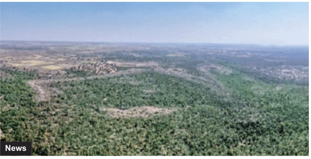 Surbhi Pandey tweet media