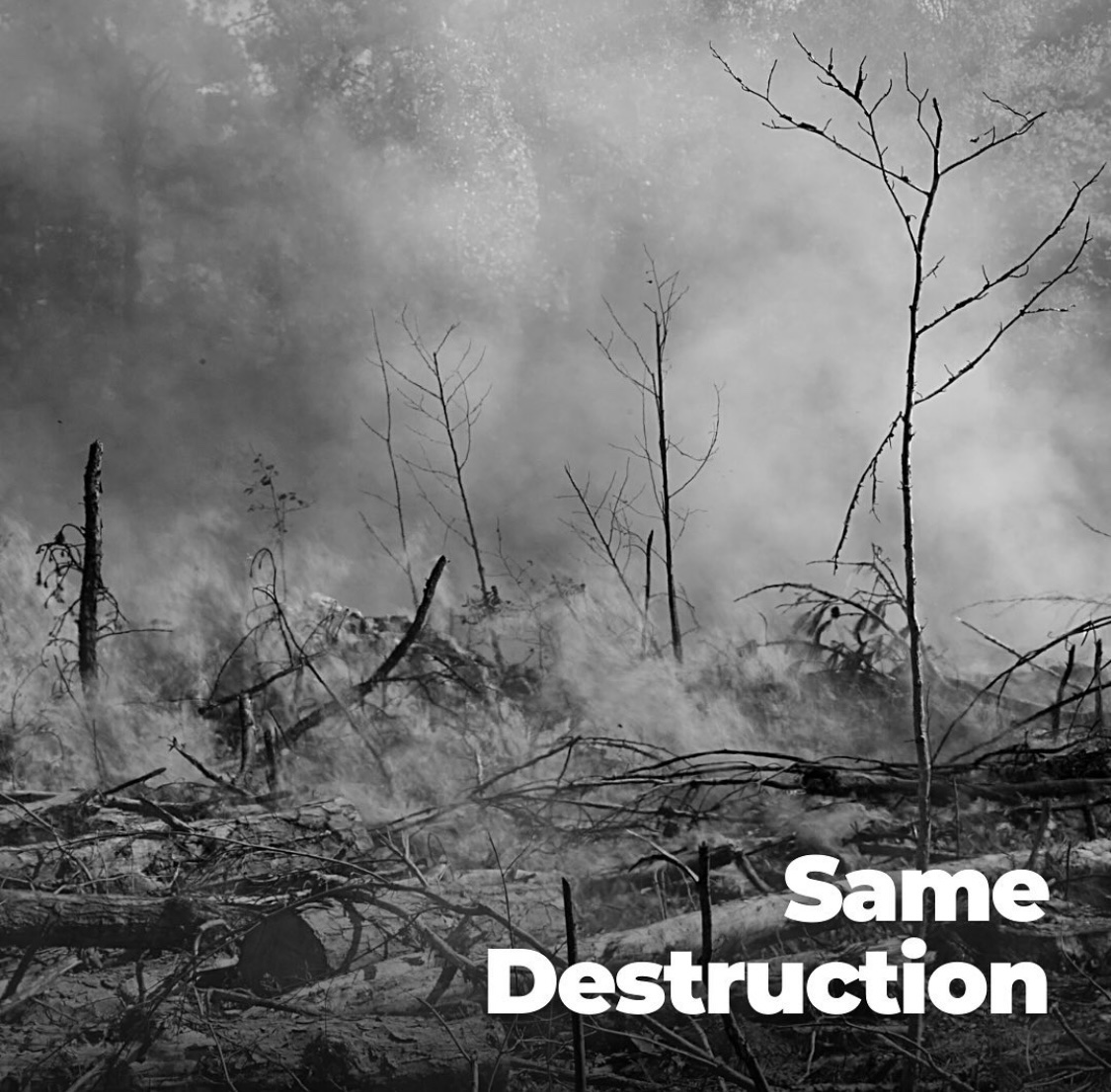 SAME destruction.