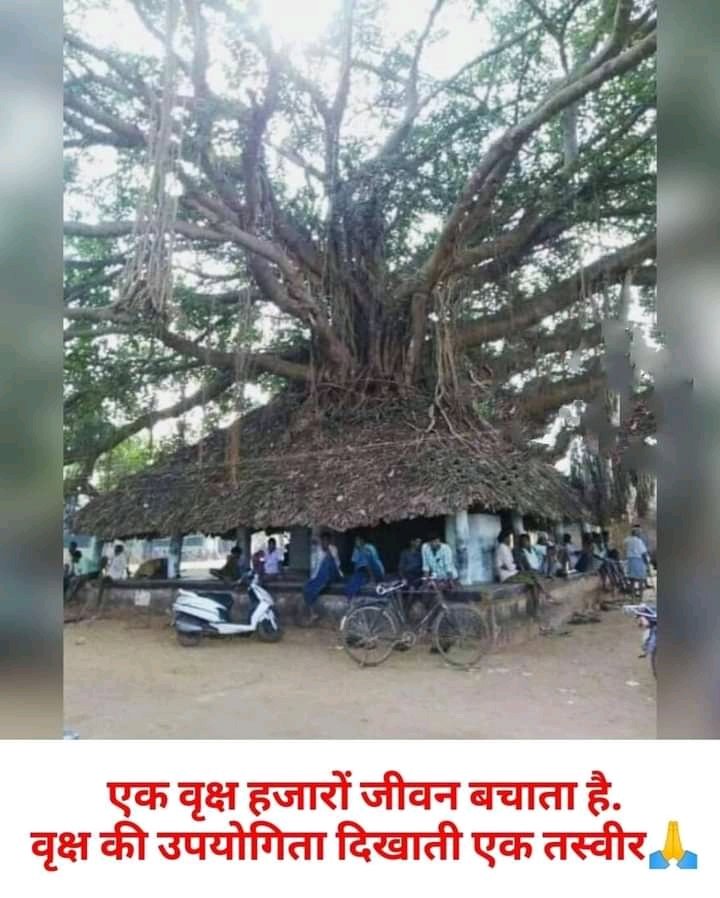 Abhii_Jeet86's tweet photo. इस पिक्चर को प्रशासन आज नही समझ सकता तो भविष्य में वर्तमान से भी बड़ी विकट परिस्थिति के लिए तैयार रहे ।
#O2Shortage
#SAVEBUXWAHAFOREST
INDIA STAND WITH BUXWAHA
@CMMadhyaPradesh @ChouhanShivraj @OfficeofSSC
@aajtak @ZeeMPCG @ZeeNews @sudhirchaudhary https://t.co/g841FJeiKU