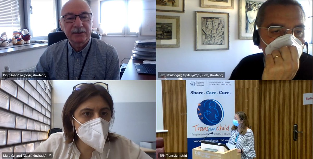 TransplantChild's tweet photo. We are back with Day 2 of the #9thBoardOfTheNetwork ! The first session is for PETER registry, presented by one representative from each beneficiary centre: Dr Piotr Kalicinski from CMHI in Warsaw, Dr Mara Cananzi &amp; Prof Perilongo from Padova &amp; Dr Lars Wennberg from Karolinska https://t.co/yKCjLxPpRn