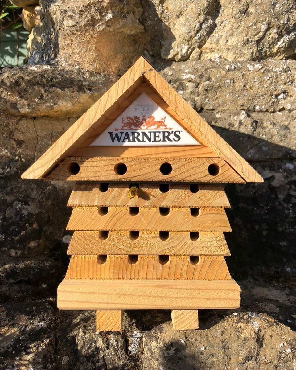 Young's Pubs (@youngspubs) on Twitter photo To celebrate #WorldBeeDay we're giving you the chance to win your very own <a href="/warnersgin/">Warner’s Distillery</a> bee hotel and one for a friend.
To Win
🐝 Follow @youngspub and <a href="/warnersgin/">Warner’s Distillery</a>
🐝 Like and RT
🐝 Tag a friend
Winner announced 01/06/21 must be 18+ and UK resident. To celebrate #WorldBeeDay we're giving you the chance to win your very own <a href="/warnersgin/">Warner’s Distillery</a> bee hotel and one for a friend.
To Win
🐝 Follow @youngspub and <a href="/warnersgin/">Warner’s Distillery</a>
🐝 Like and RT
🐝 Tag a friend
Winner announced 01/06/21 must be 18+ and UK resident.