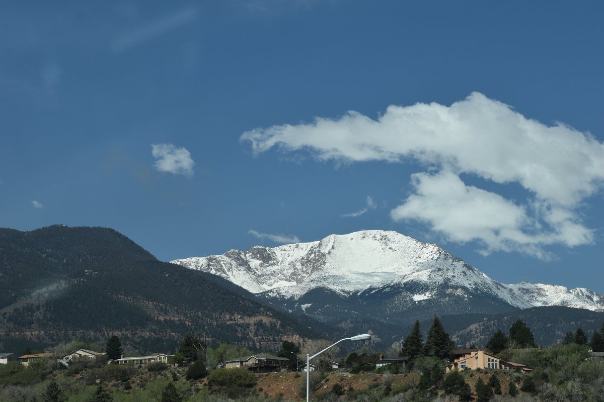 diary_peak tweet picture