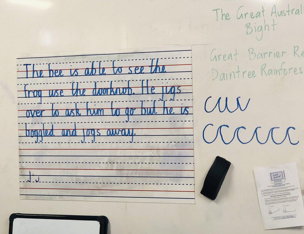stephaniestrati's tweet photo. Handwriting with Year 3! ✍🏼🐝 #acuedu_p https://t.co/cIWZoz2ZeT