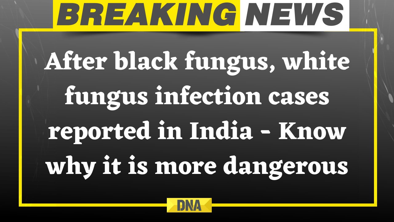 Dna After Black Fungus White Fungus Infection Cases Reported In India Know Why It Is More Dangerous Read Here T Co Xryfpwoiny Blackfungus Whitefungus Covidindia Covid19india Coronavirusindia Covid T Co 0mg8lv0bgl Dna After Black Fungus White Fungus Infection Cases Reported In India Know Why It Is More Dangerous Read Here T Co Xryfpwoiny Blackfungus Whitefungus Covidindia Covid19india Coronavirusindia Covid T Co 0mg8lv0bgl