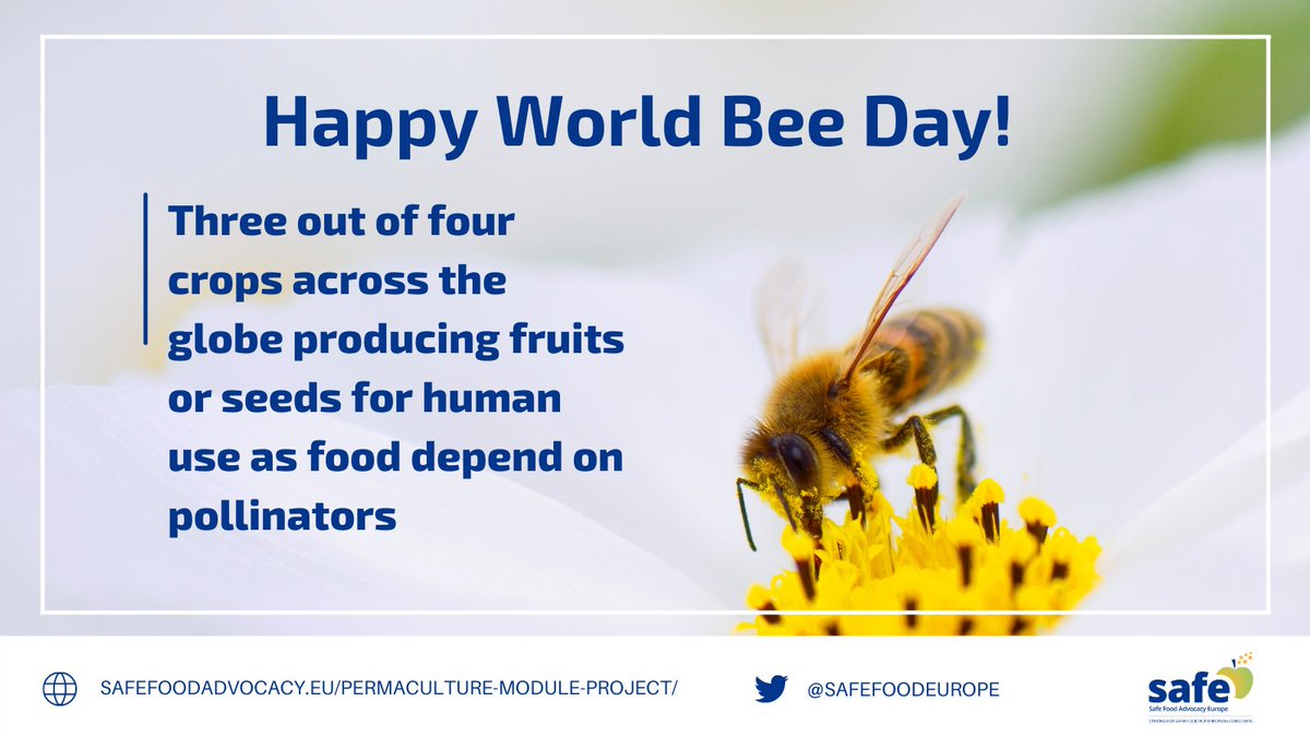 SafeFoodEurope's tweet photo. Various fruits and vegetables such as🥭🍆🍊🍏🍓🍅🍋 and many more rely on #pollination!
On #WorldBeeDay let’s #Savethebees 🐝
Check out how more sustainable forms of agriculture like #permaculture protect these #pollinator heroes https://t.co/rUvXOxJ1Nm
#ClimatePactAmbassador https://t.co/KUKqBJYmlk